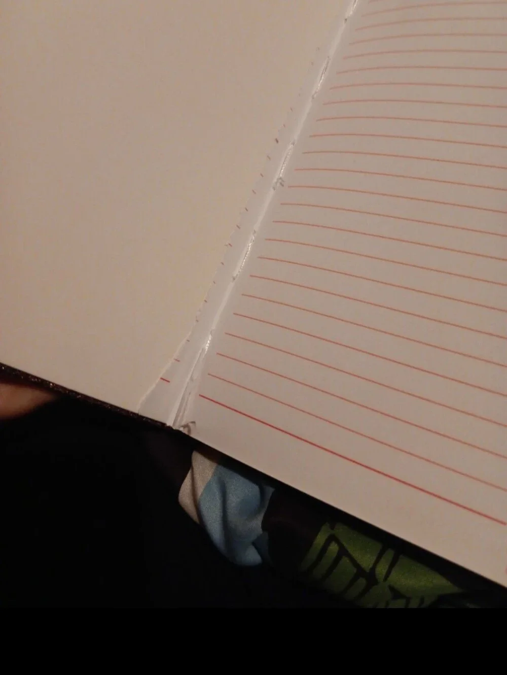 Victoria's secret pink sparkly notebook with pen